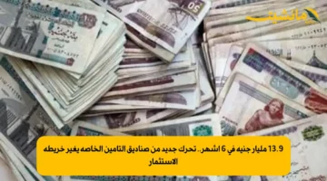 13.9 مليار جنيه في 6 أشهر.. تحرك جديد من صناديق التأمين الخاصة يغير خريطة الاستثمار 1